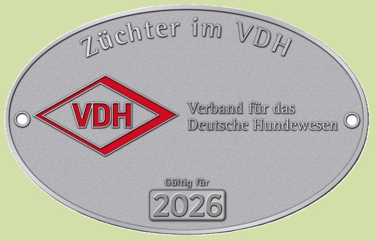 vdh